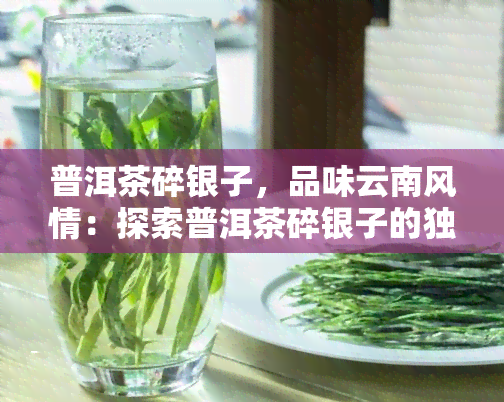 普洱茶碎银子，品味云南风情：探索普洱茶碎银子的独特魅力