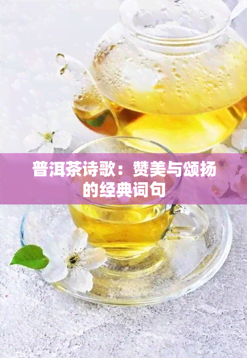 普洱茶诗歌：赞美与颂扬的经典词句