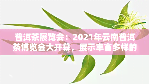 普洱茶展览会：2021年云南普洱茶博览会大开幕，展示丰富多样的普洱茶品种与文化