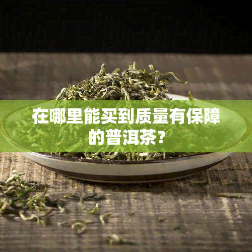 在哪里能买到质量有保障的普洱茶？