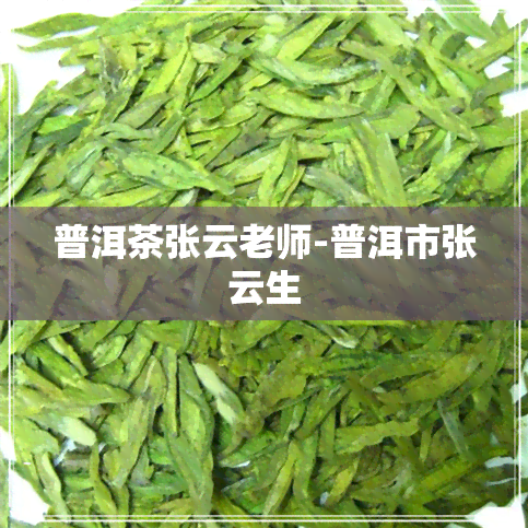 普洱茶张云老师-普洱市张云生