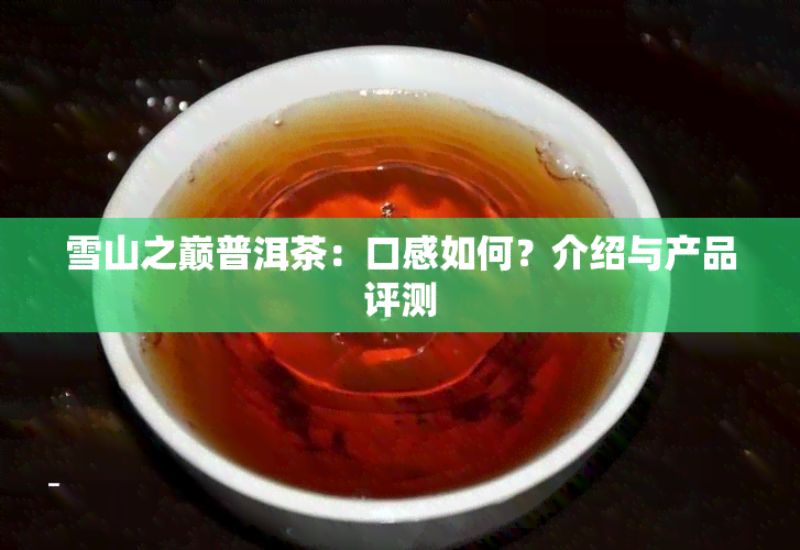 雪山之巅普洱茶：口感如何？介绍与产品评测