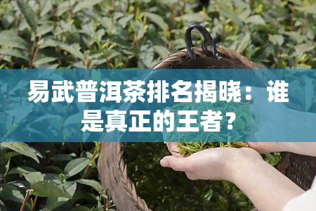 易武普洱茶排名揭晓：谁是真正的王者？