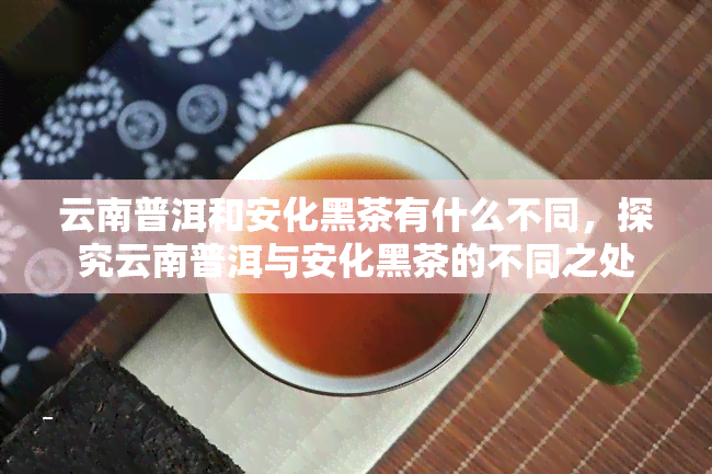 云南普洱和安化黑茶有什么不同，探究云南普洱与安化黑茶的不同之处