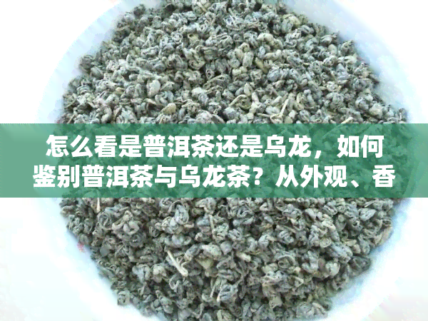 怎么看是普洱茶还是乌龙，如何鉴别普洱茶与乌龙茶？从外观、香气和口感入手！