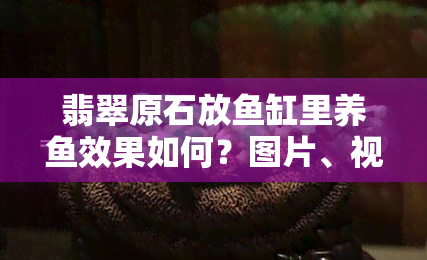 翡翠原石放缸里养效果如何？图片、视频全方位解析