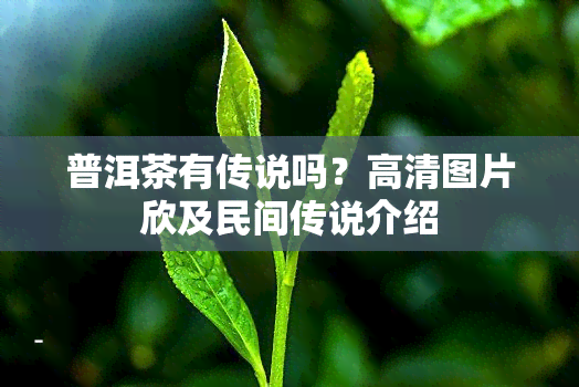 普洱茶有传说吗？高清图片欣及民间传说介绍