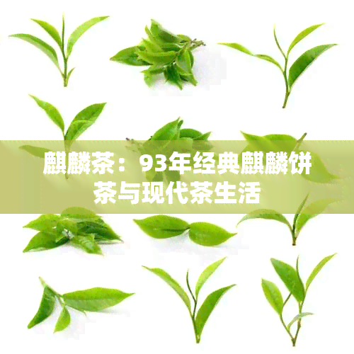 麒麟茶：93年经典麒麟饼茶与现代茶生活