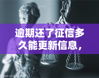 逾期还了多久能更新信息，逾期还款后，多久能够更新信息？