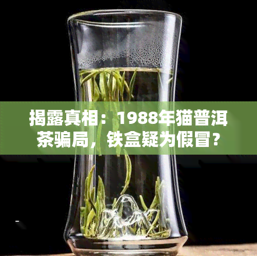 揭露真相：1988年猫普洱茶骗局，铁盒疑为假冒？