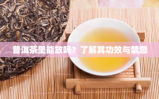 普洱茶里能放吗？了解其功效与禁忌