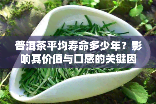 普洱茶平均寿命多少年？影响其价值与口感的关键因素