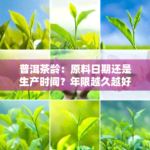 普洱茶龄：原料日期还是生产时间？年限越久越好吗？陈年茶需多少年？多少年？