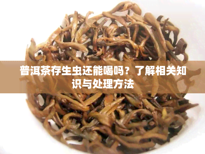 普洱茶存生虫还能喝吗？了解相关知识与处理方法