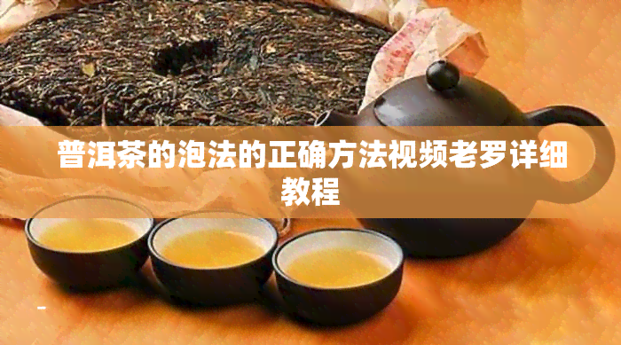 普洱茶的泡法的正确方法视频老罗详细教程