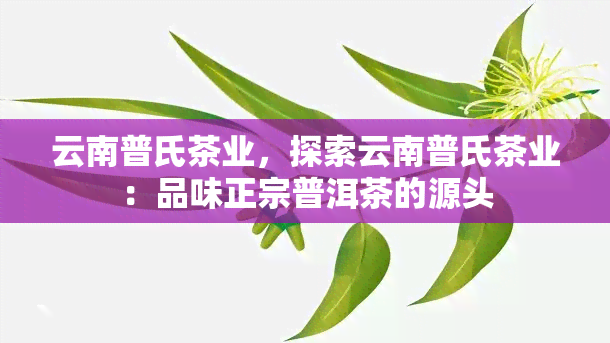 云南普氏茶业，探索云南普氏茶业：品味正宗普洱茶的源头