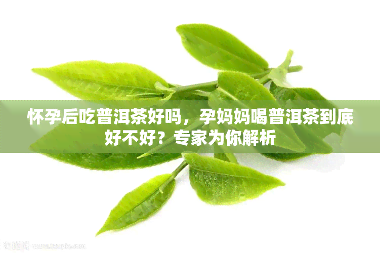 怀孕后吃普洱茶好吗，孕妈妈喝普洱茶到底好不好？专家为你解析