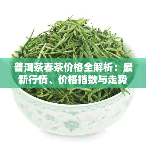 普洱茶春茶价格全解析：最新行情、价格指数与走势一览