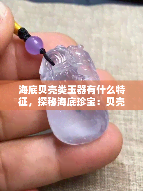 海底贝壳类玉器有什么特征，探秘海底珍宝：贝壳类玉器的特徵解析