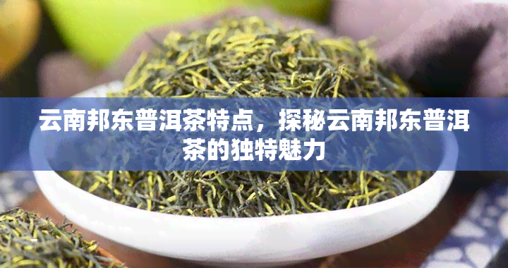 云南邦东普洱茶特点，探秘云南邦东普洱茶的独特魅力