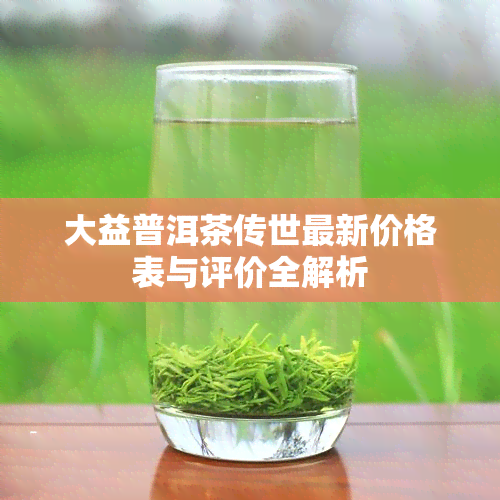 大益普洱茶传世最新价格表与评价全解析