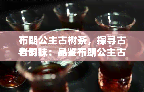 布朗公主古树茶，探寻古老韵味：品鉴布朗公主古树茶的魅力