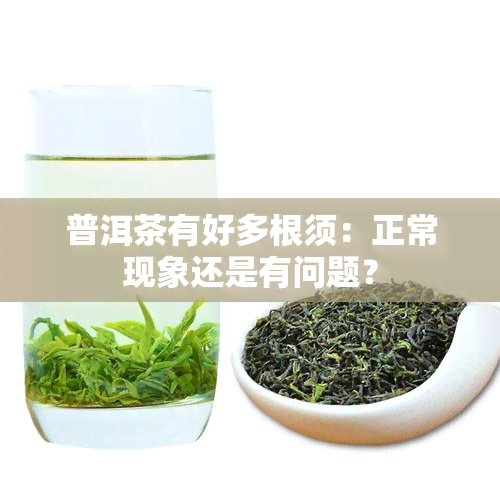 普洱茶有好多根须：正常现象还是有问题？