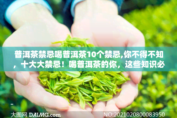 普洱茶禁忌喝普洱茶10个禁忌,你不得不知，十大大禁忌！喝普洱茶的你，这些知识必须要知道！