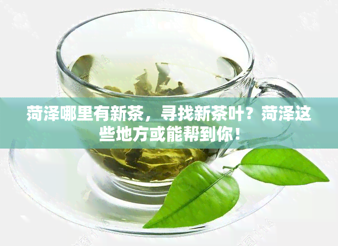 菏泽哪里有新茶，寻找新茶叶？菏泽这些地方或能帮到你！