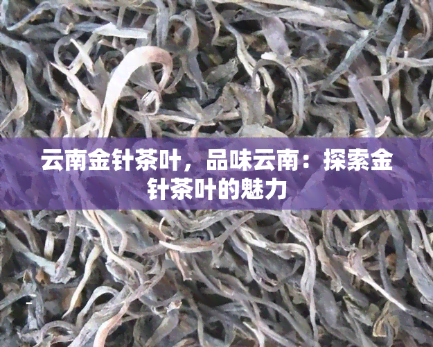 云南金针茶叶，品味云南：探索金针茶叶的魅力