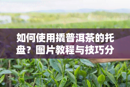 如何使用撬普洱茶的托盘？图片教程与技巧分享