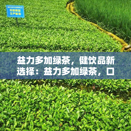 益力多加绿茶，健饮品新选择：益力多加绿茶，口感清爽又营养