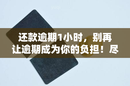 还款逾期1小时，别再让逾期成为你的负担！尽快偿还逾期1小时的款项