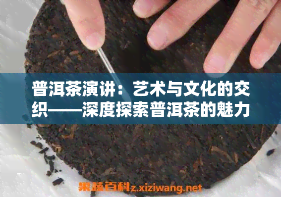 普洱茶演讲：艺术与文化的交织——深度探索普洱茶的魅力