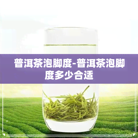 普洱茶泡脚度-普洱茶泡脚度多少合适