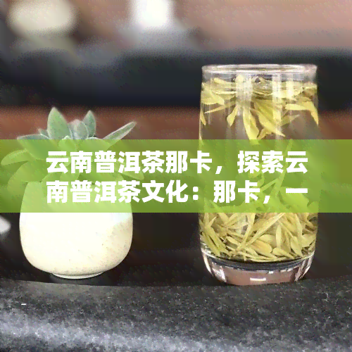 云南普洱茶那卡，探索云南普洱茶文化：那卡，一种独特的茶叶体验