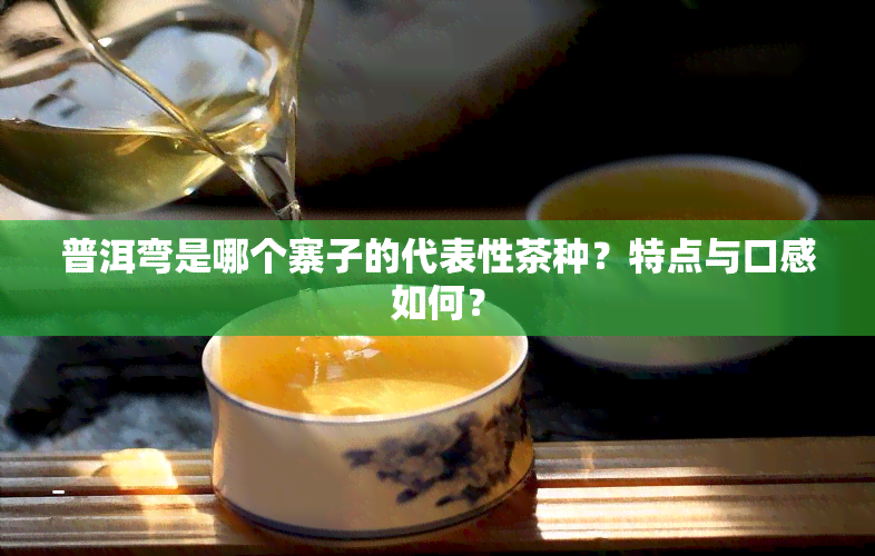 普洱弯是哪个寨子的代表性茶种？特点与口感如何？