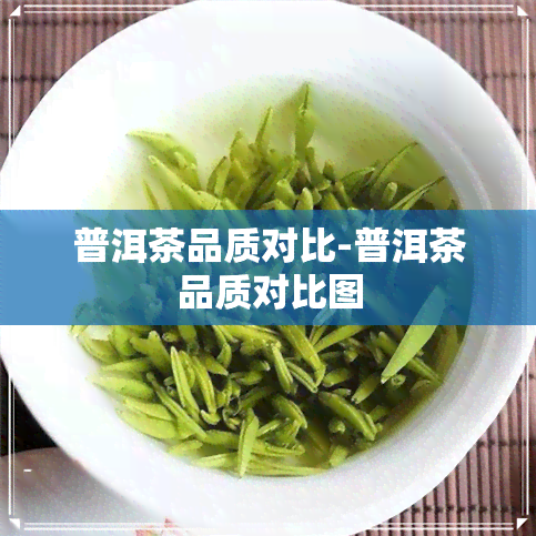 普洱茶品质对比-普洱茶品质对比图