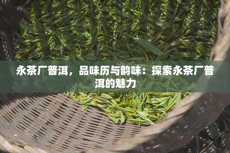 永茶厂普洱，品味历与韵味：探索永茶厂普洱的魅力