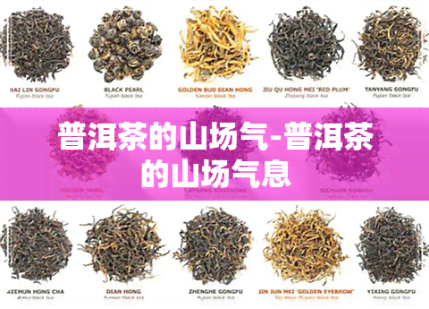 普洱茶的山场气-普洱茶的山场气息