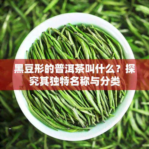 黑豆形的普洱茶叫什么？探究其独特名称与分类