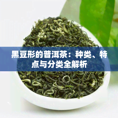 黑豆形的普洱茶：种类、特点与分类全解析