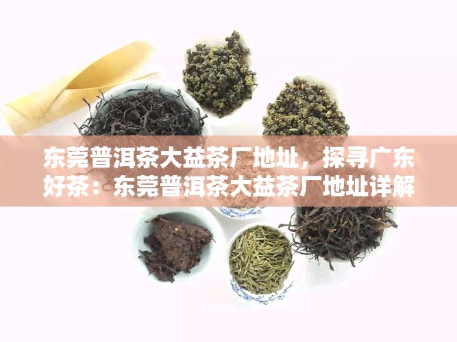 东莞普洱茶大益茶厂地址，探寻广东好茶：东莞普洱茶大益茶厂地址详解