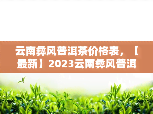 云南彝风普洱茶价格表，【最新】2023云南彝风普洱茶价格表，你想知道的都在这里！