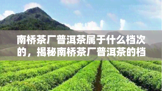 南桥茶厂普洱茶属于什么档次的，揭秘南桥茶厂普洱茶的档次，你了解吗？