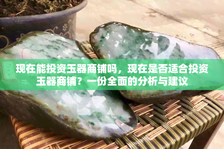 现在能投资玉器商铺吗，现在是否适合投资玉器商铺？一份全面的分析与建议