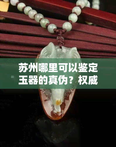 苏州哪里可以鉴定玉器的真伪？权威机构与鉴定一览