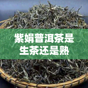 紫娟普洱茶是生茶还是熟茶？了解其品质特征、价格与分类