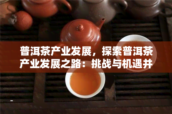 普洱茶产业发展，探索普洱茶产业发展之路：挑战与机遇并存