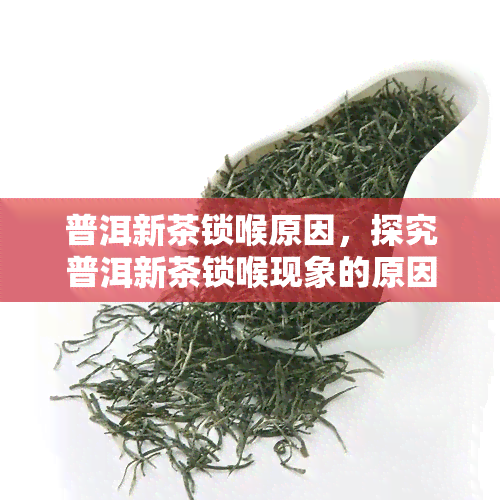 普洱新茶锁喉原因，探究普洱新茶锁喉现象的原因与解决方法